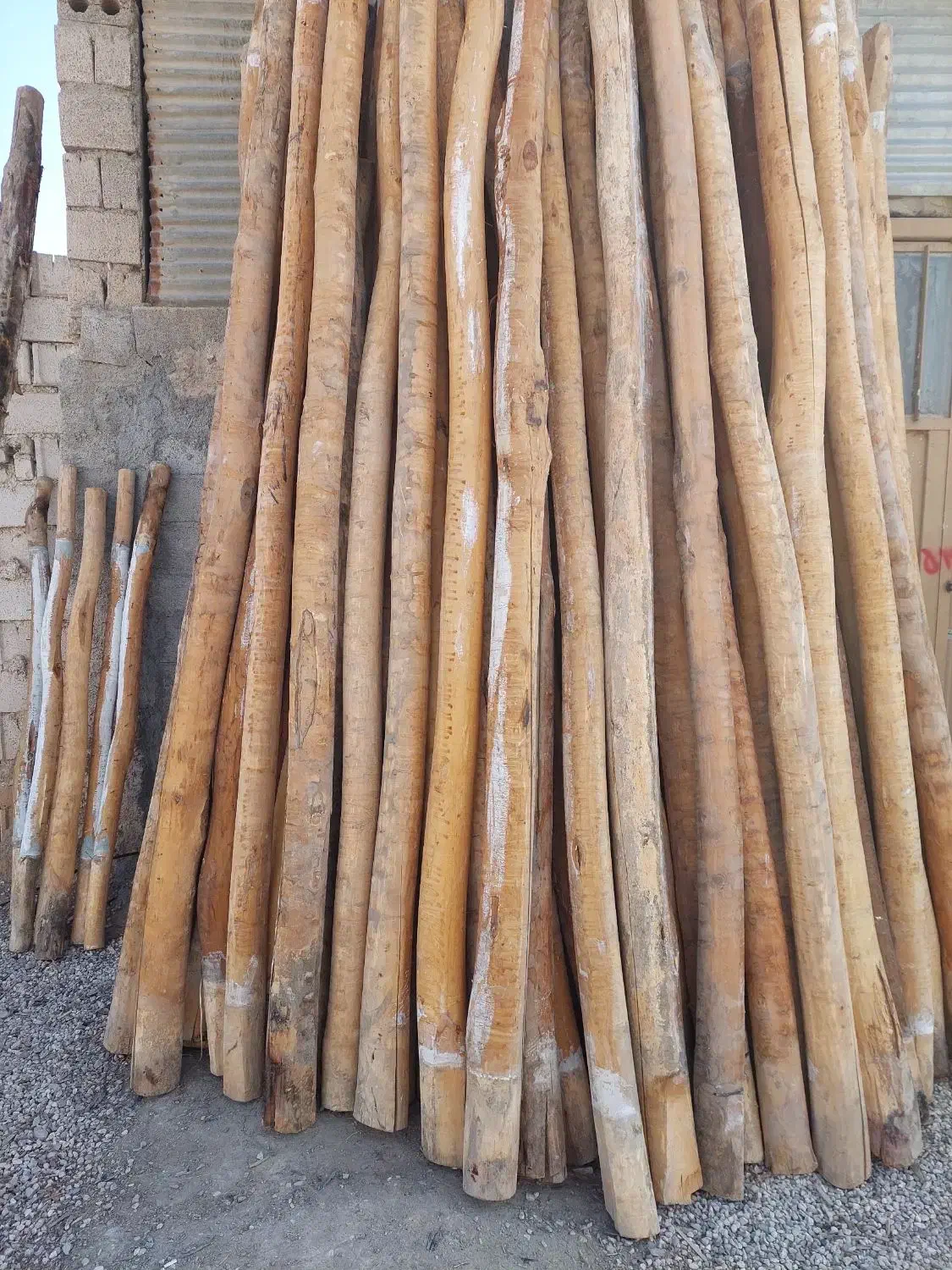 خریدار چوب سقفی|خدمات باغبانی و درختکاری|نجف‌آباد, صالح آباد|دیوار