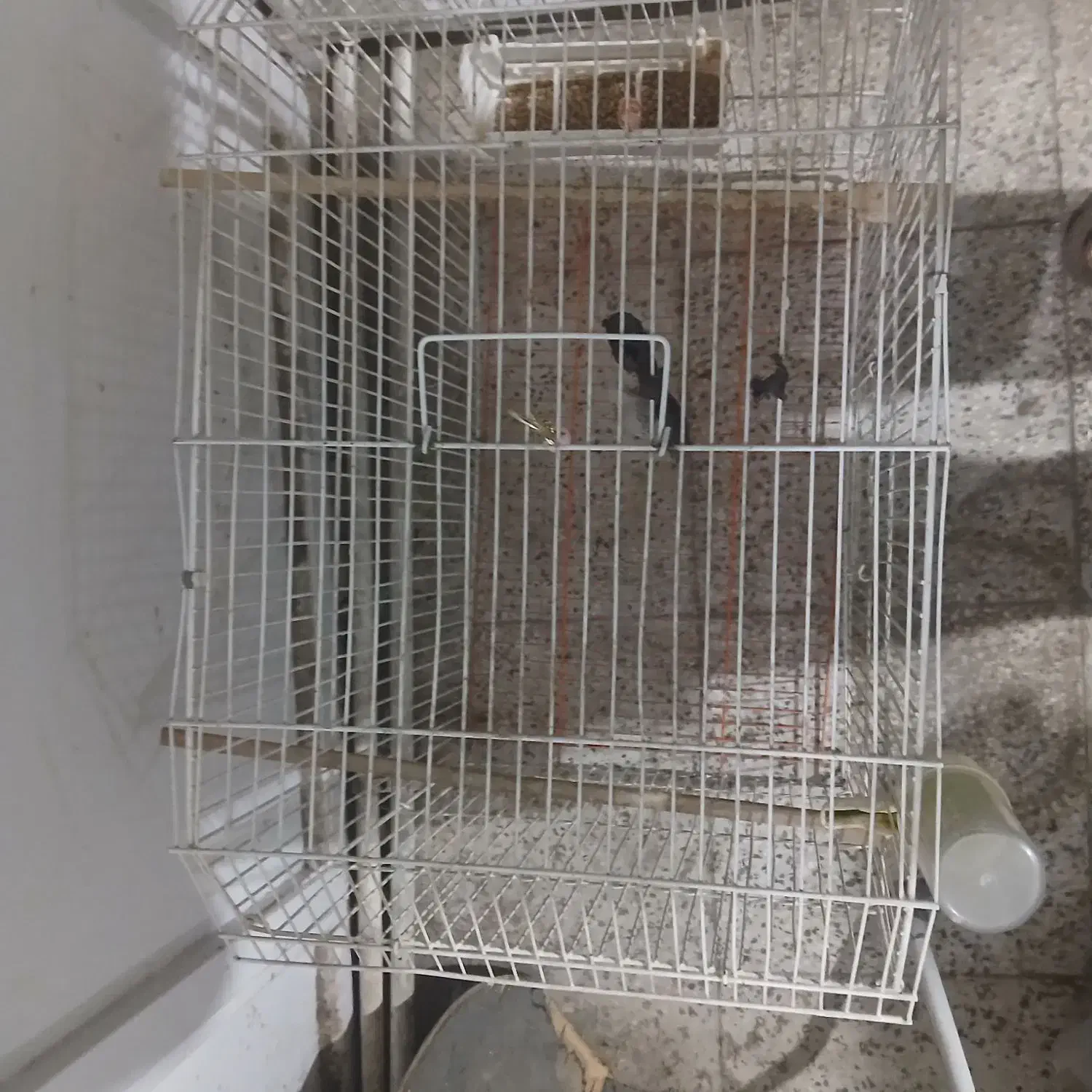 قفس|لوازم جانبی حیوانات|تهران, پرستار|دیوار