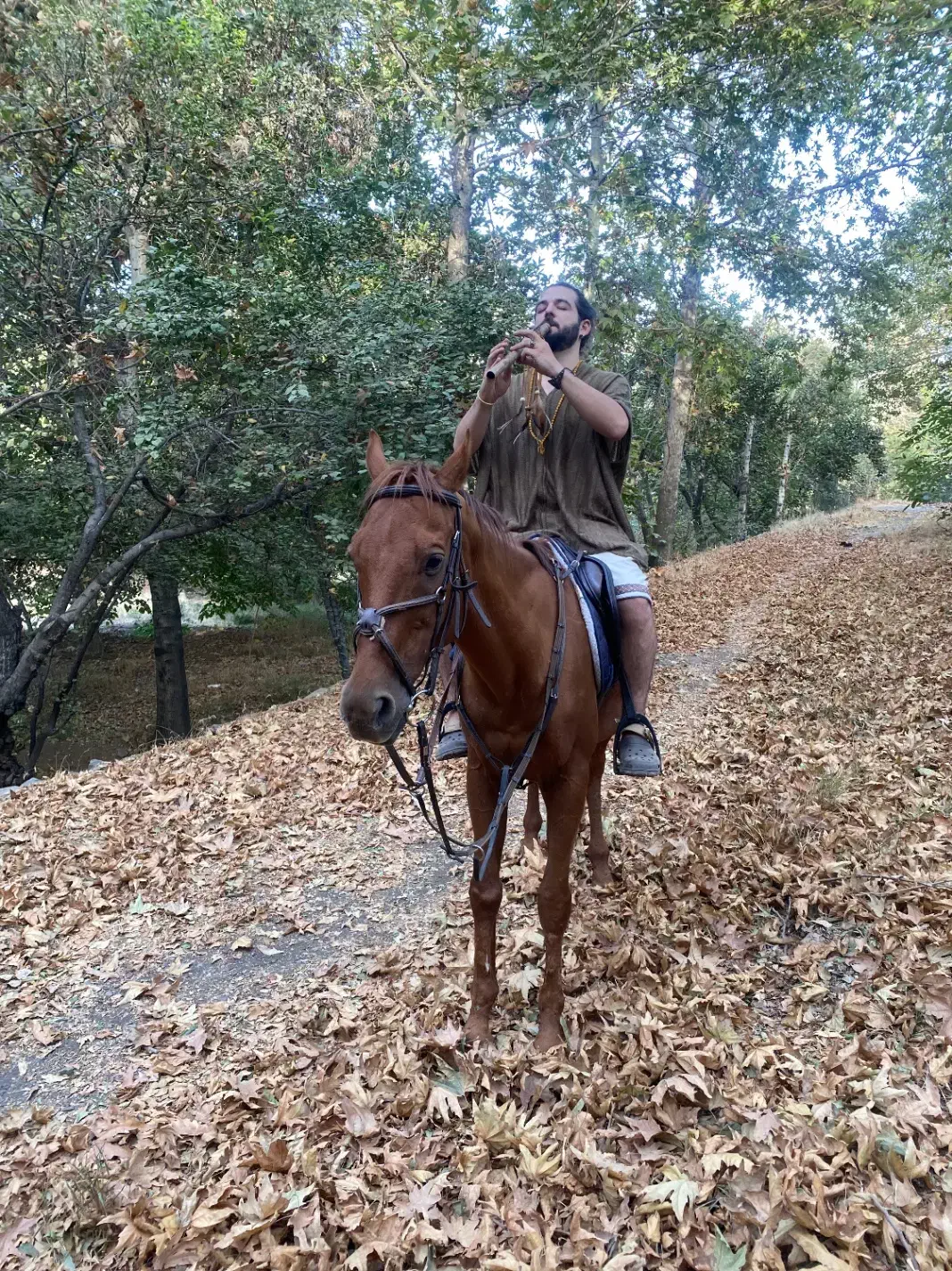 نگهداری اسب و کالسکه سواری|استخدام حمل و نقل|تهران, ازگل|دیوار