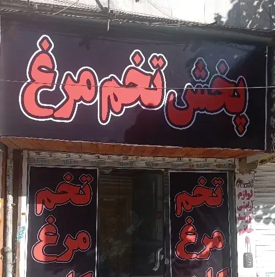 پخش تخم مرغ|خوردنی و آشامیدنی|فردیس, سرحدی|دیوار