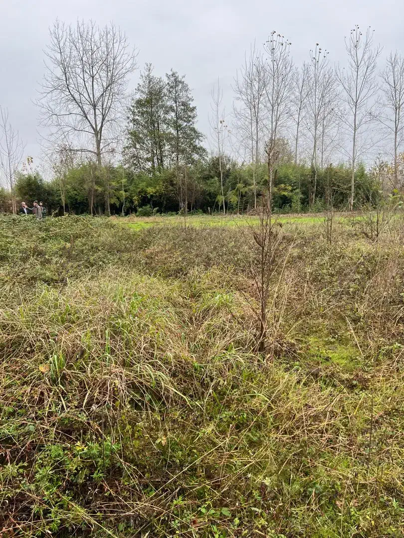 فروش زمین ۱۴۰ متری در حمیدیان با قیمت بسیار مناسب|فروش زمین و ملک کلنگی|رشت, حمیدیان|دیوار