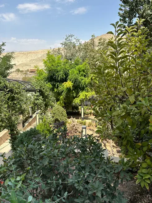 استخدام گیاهپزشک در رودهن با حقوق توافقی|استخدام صنعتی، فنی، مهندسی|رودهن, |دیوار