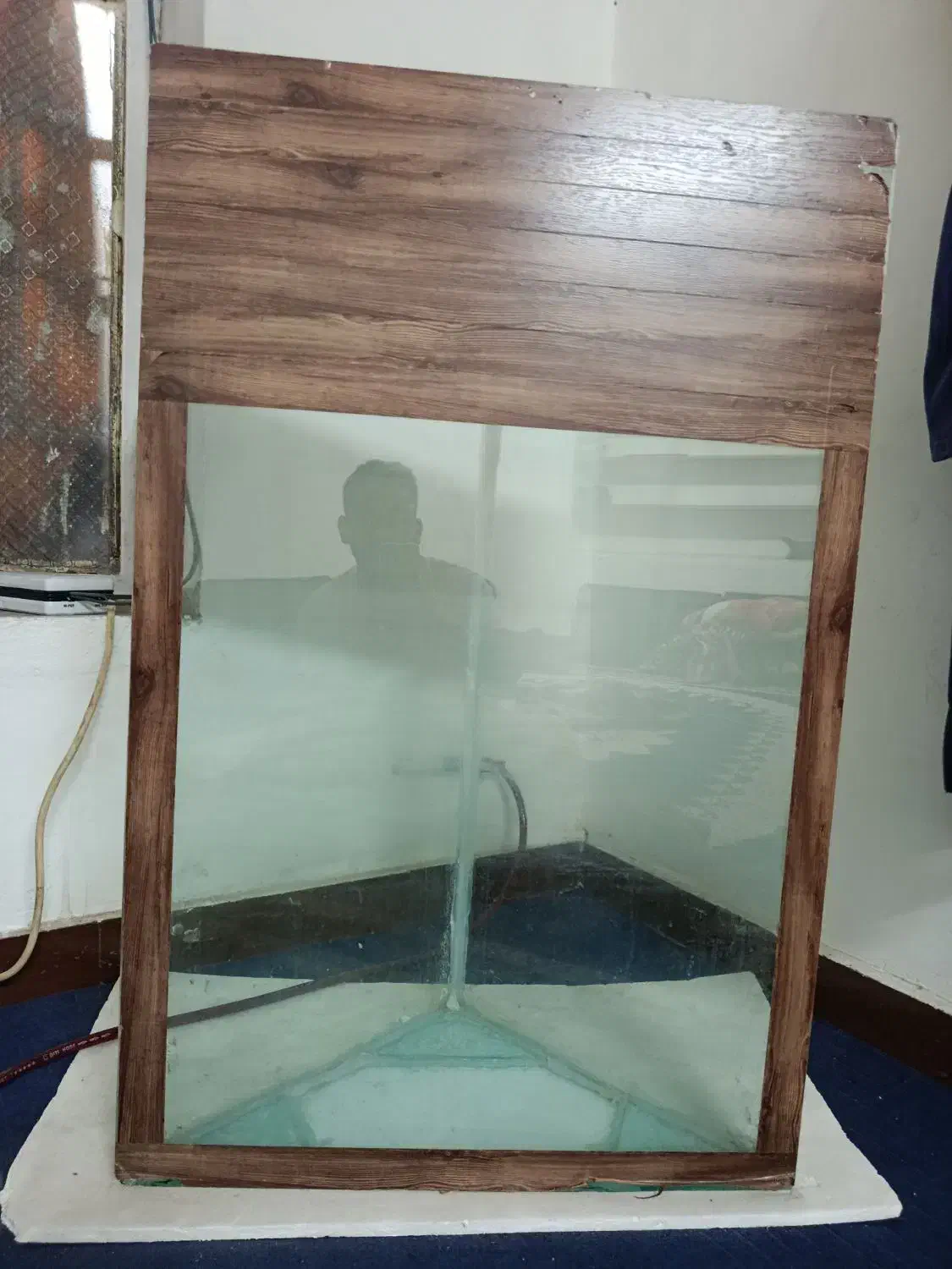 آکواریوم|ماهی|اهواز, امانیه|دیوار