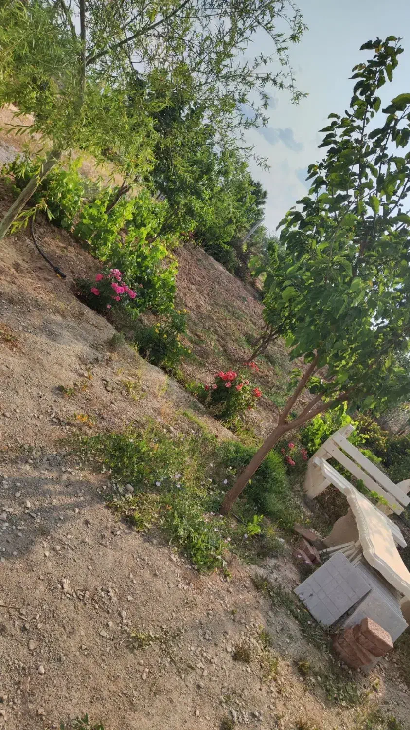 باغ|فروش دفتر صنعتی، کشاورزی، تجاری|لالجین, |دیوار