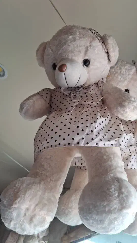 خرس|اسباب‌بازی بچه|تهران, زرکش|دیوار