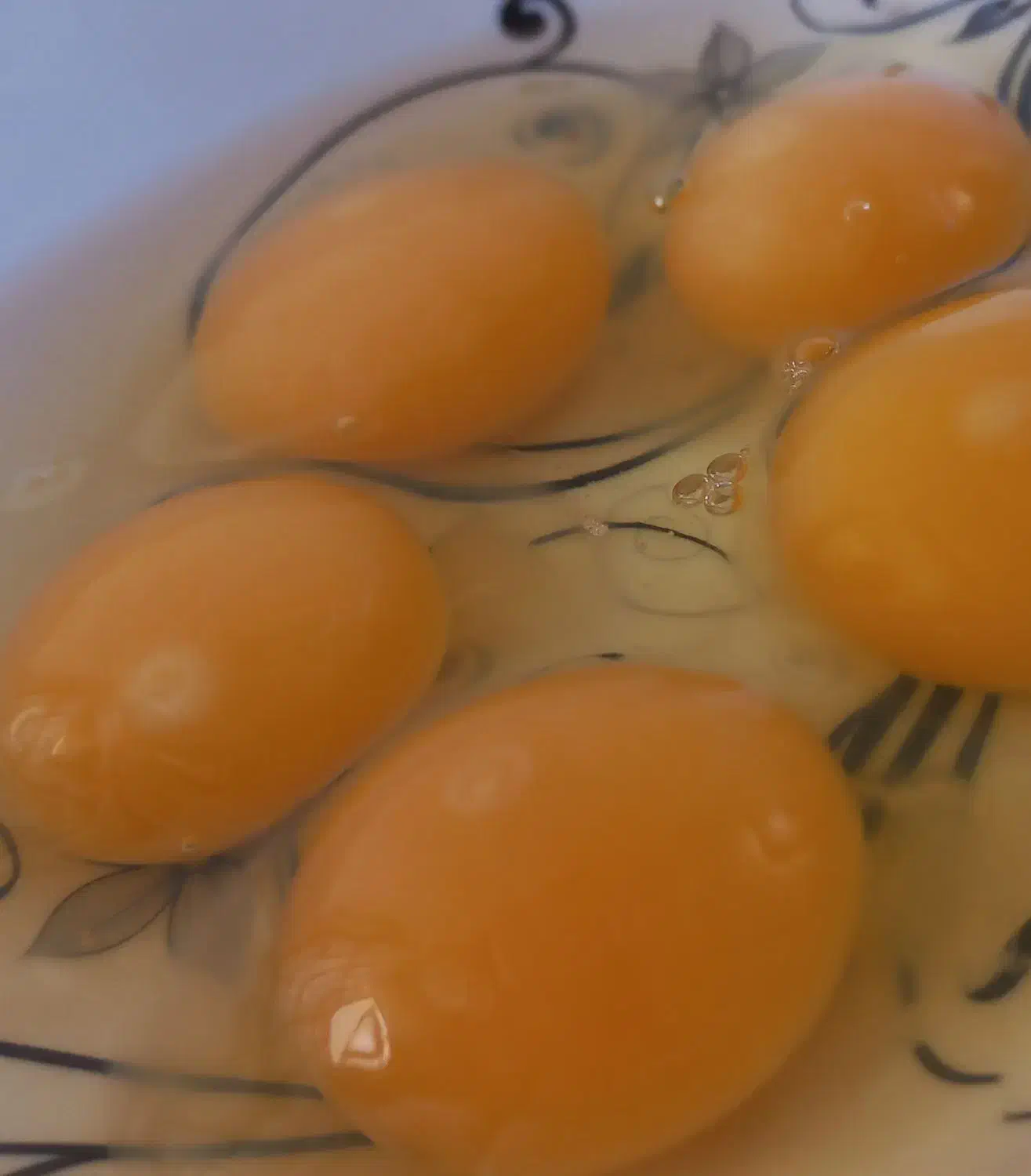 تخم مرغ رسمی محلی|خوردنی و آشامیدنی|تهران, جردن|دیوار