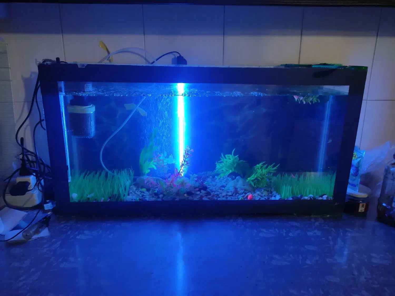 آکواریوم|ماهی|سنقر, |دیوار