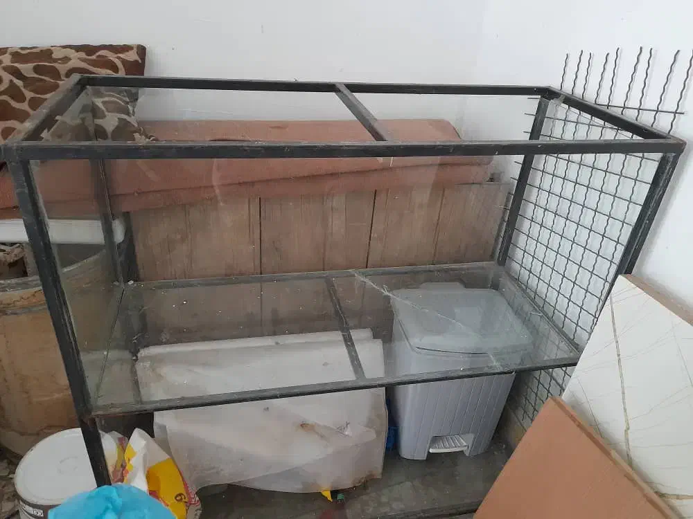 باکس قفسه و ویترین|فروشگاه و مغازه|رشت, باهنر|دیوار