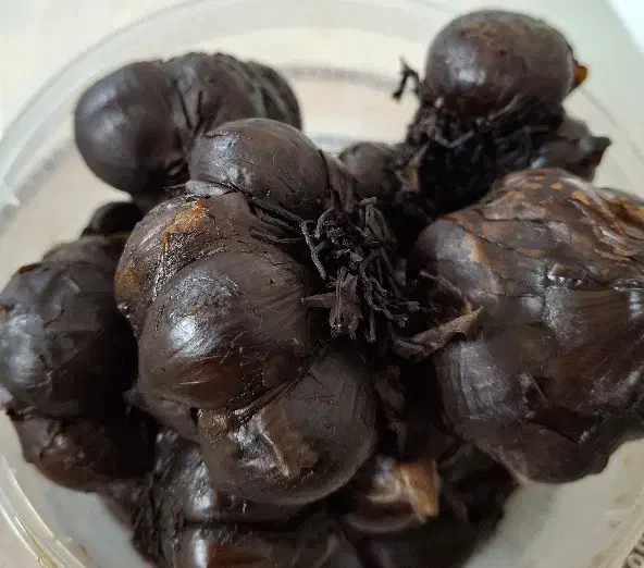 سیر ترشی ۷ ساله|خوردنی و آشامیدنی|قم, زند آباد|دیوار