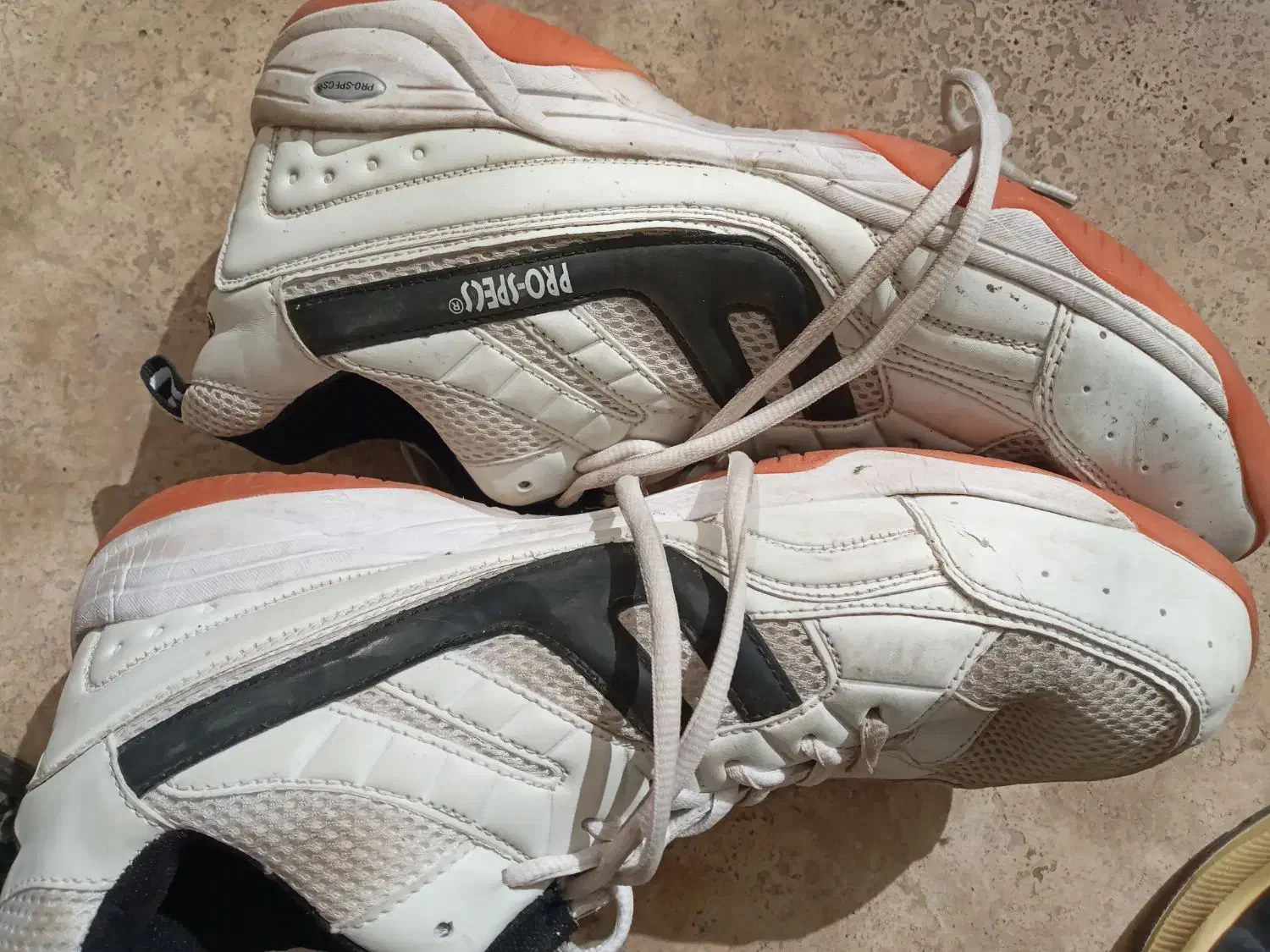 کفش اسپورت|کیف، کفش، کمربند|مشهد, حسابی جنوبی (شهرک غرب)|دیوار