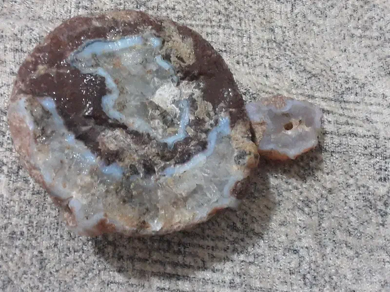 شجر|کلکسیون اشیاء عتیقه|کرج, حصارک پایین|دیوار