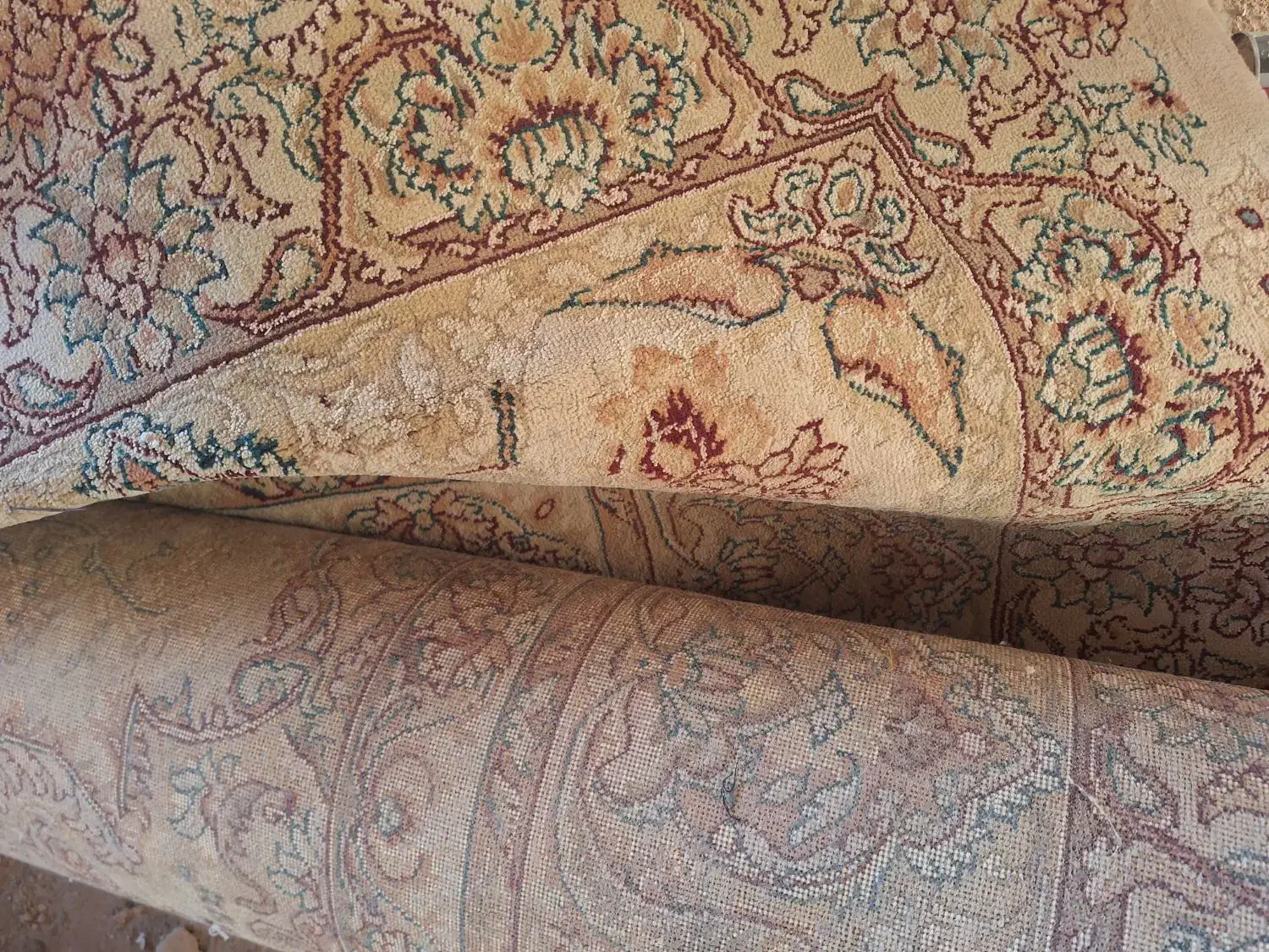 فرش ۳/۴|فرش|نیشابور, گنبد سبز|دیوار