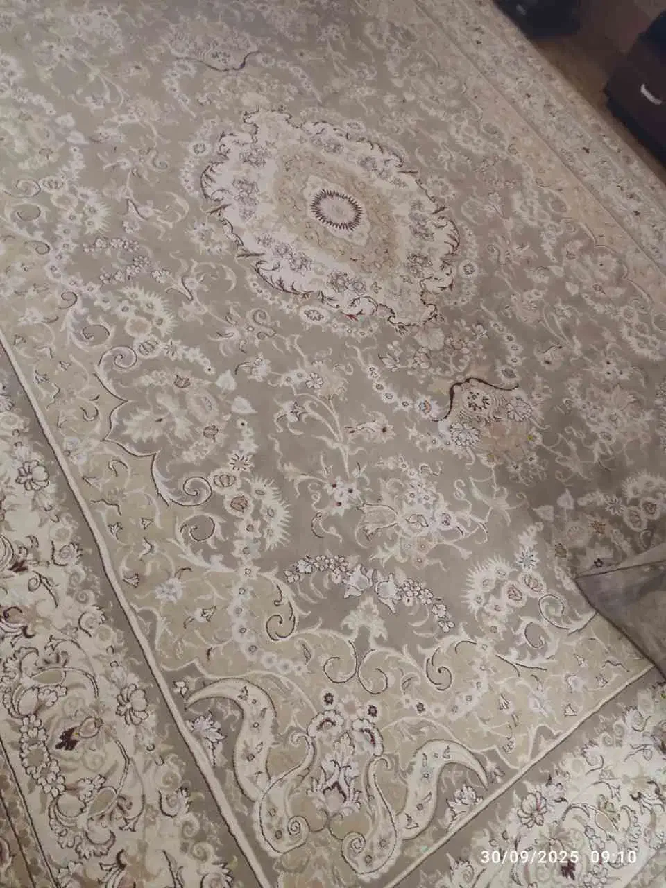فرش ۷۰۰ شانه|فرش|قوچان, |دیوار