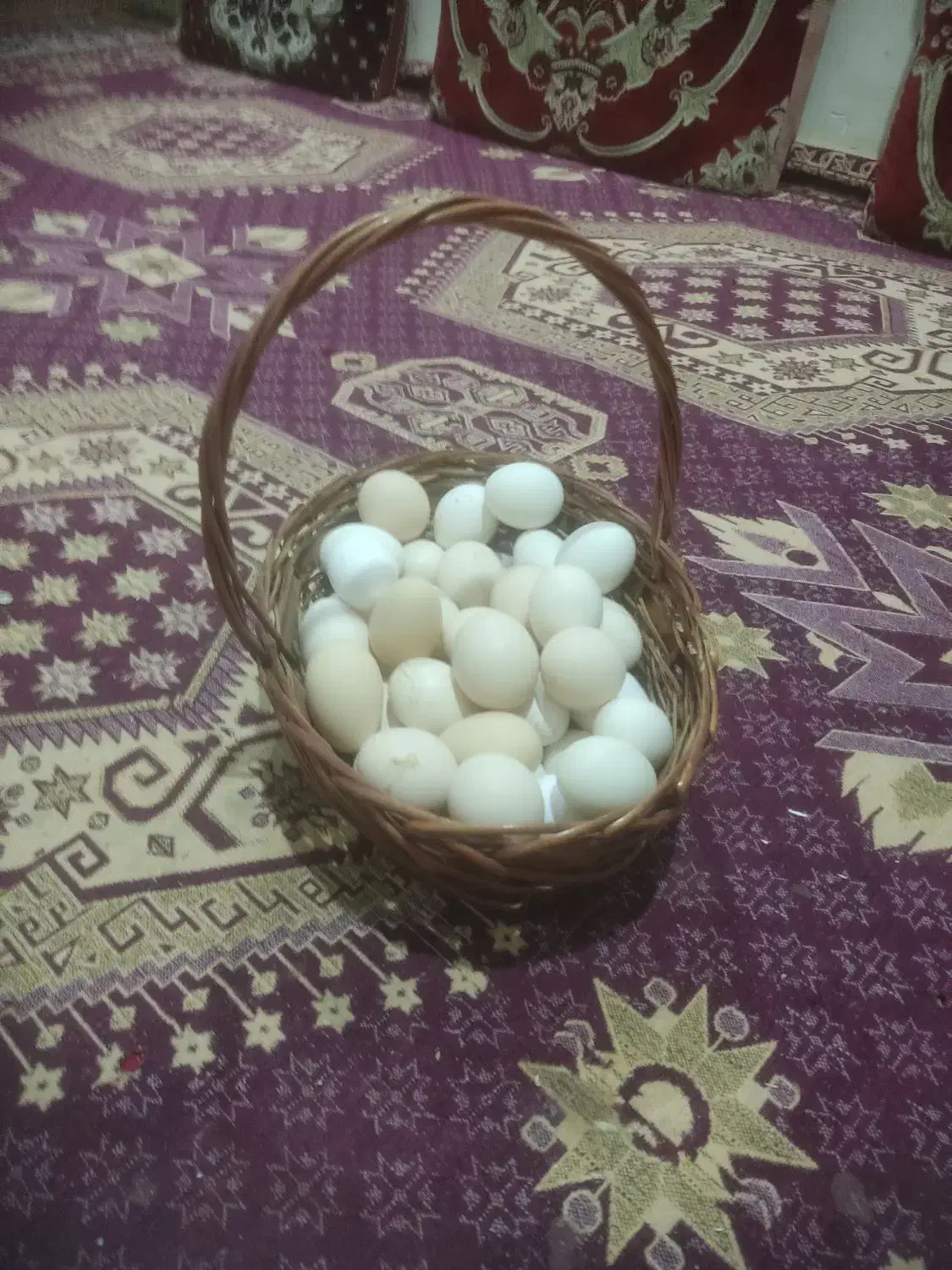 مرغ محلی تخمگذار|حیوانات مزرعه|جنت, |دیوار