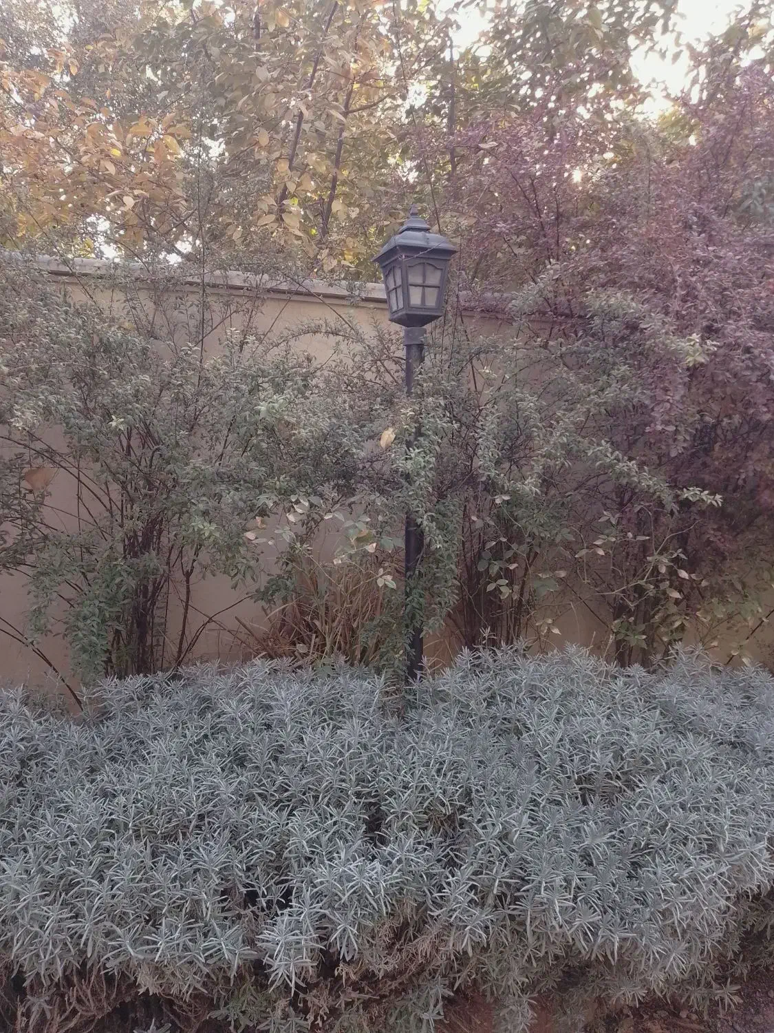 نظافت و خدمات|خدمات نظافت|هشتگرد, ینگی امام|دیوار