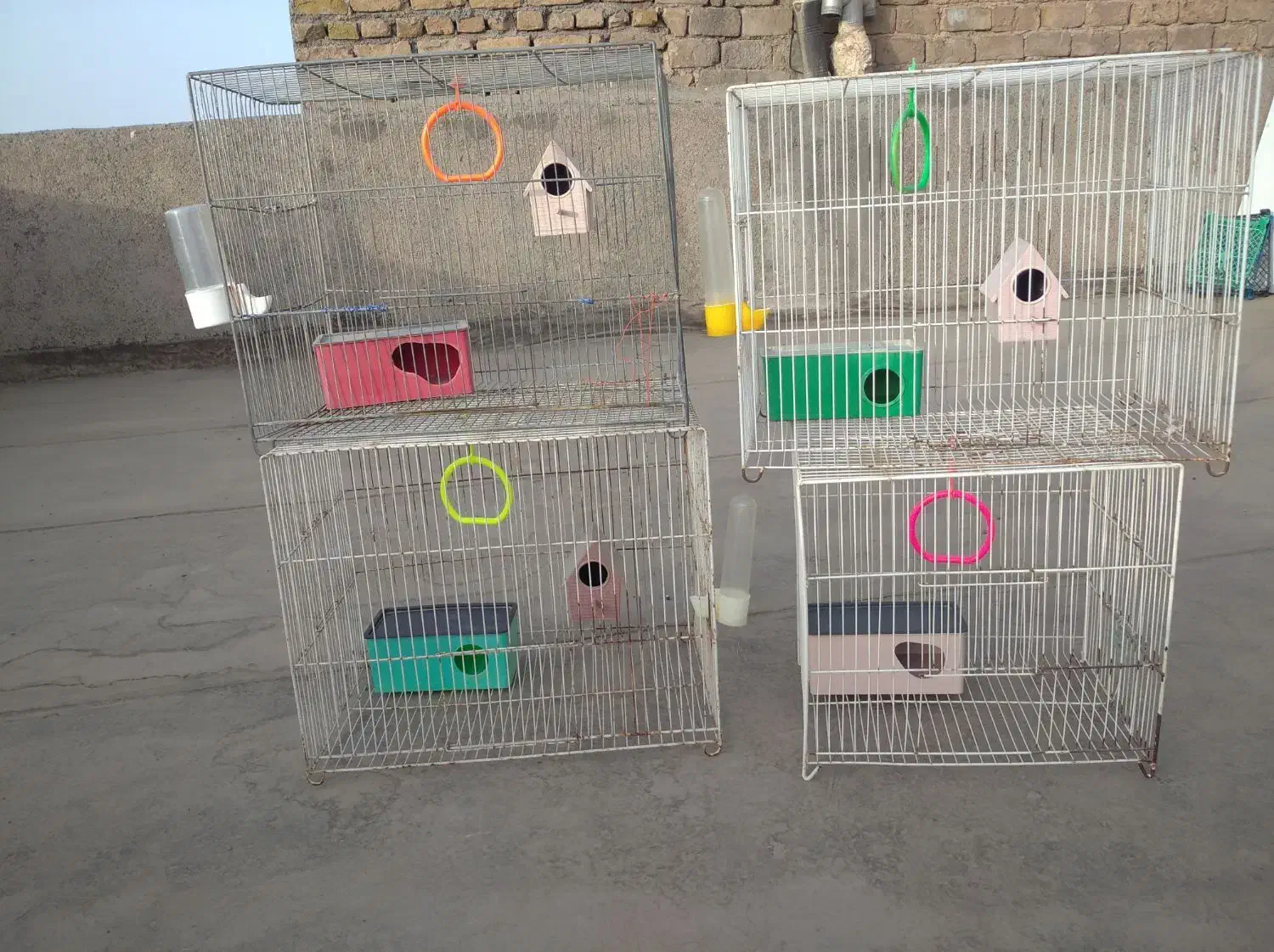 قفس پرنده|لوازم جانبی حیوانات|مشهد, کوشش|دیوار