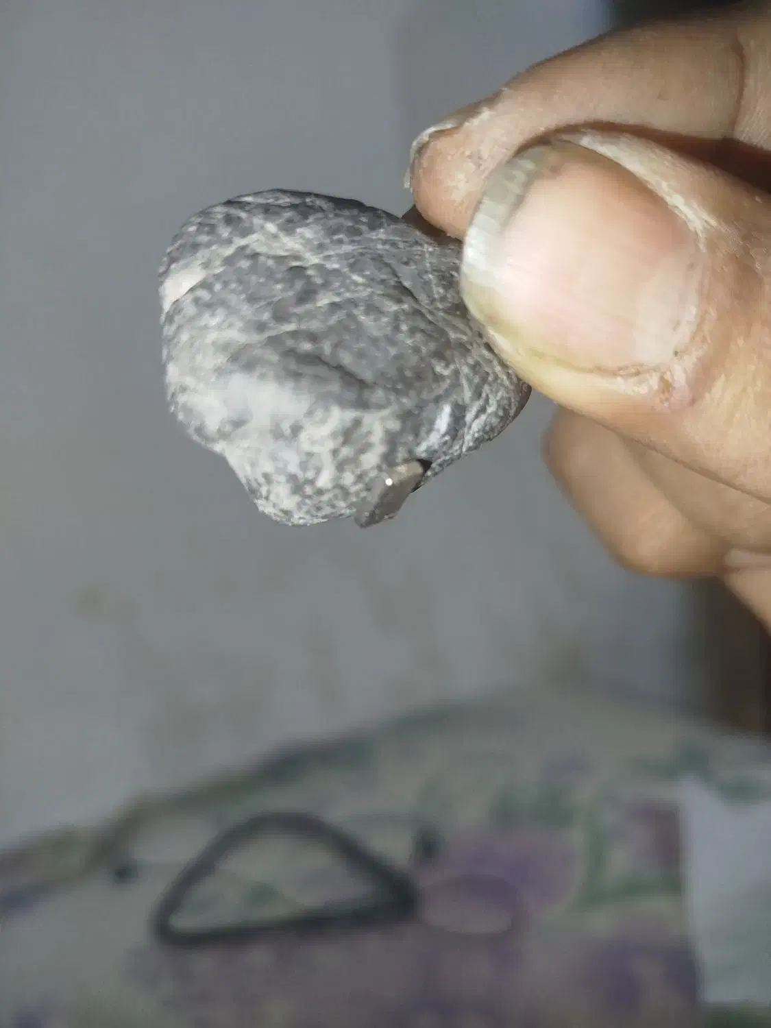 شهاب سنگ سیاه|کلکسیون اشیاء عتیقه|شوش, |دیوار