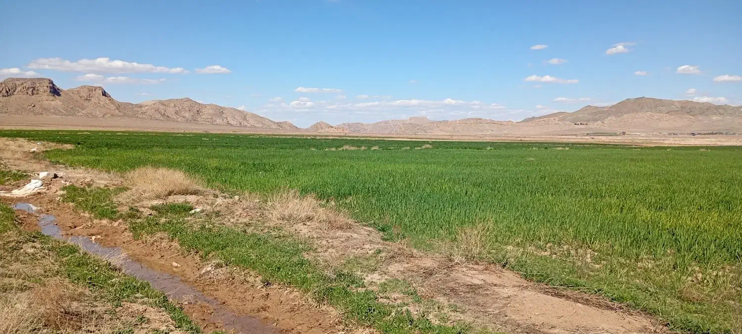 فروش اراضی دیم کشاورزی|فروش دفتر صنعتی، کشاورزی، تجاری|آشتیان, |دیوار