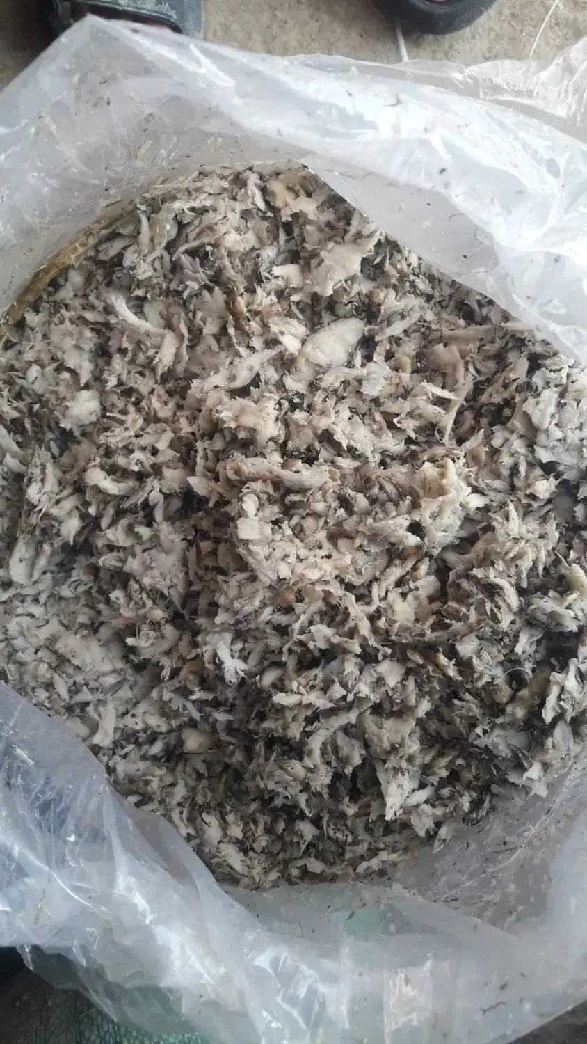 تفاله چغندر|حیوانات مزرعه|اسالم, |دیوار