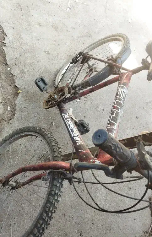 دوچرخه|دوچرخه، اسکیت، اسکوتر|میانه, |دیوار