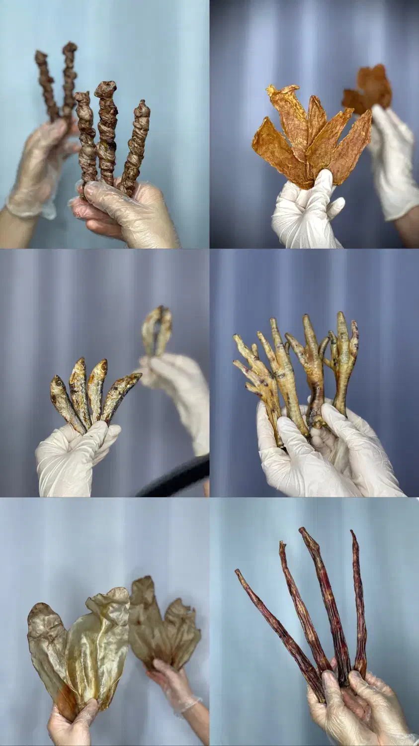 تشویقی سگ|لوازم جانبی حیوانات|رشت, منظریه|دیوار