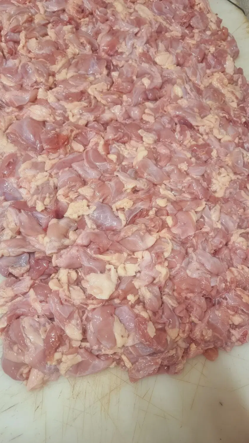 بچه فیله|خوردنی و آشامیدنی|تهران, شهرک دریا|دیوار