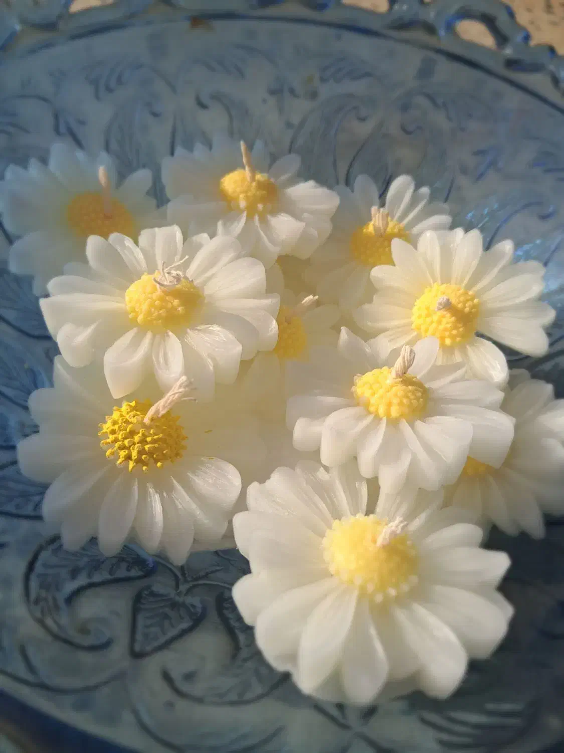 گیفت بابونه|صنایع دستی و سایر لوازم تزئینی|فرمهین, |دیوار