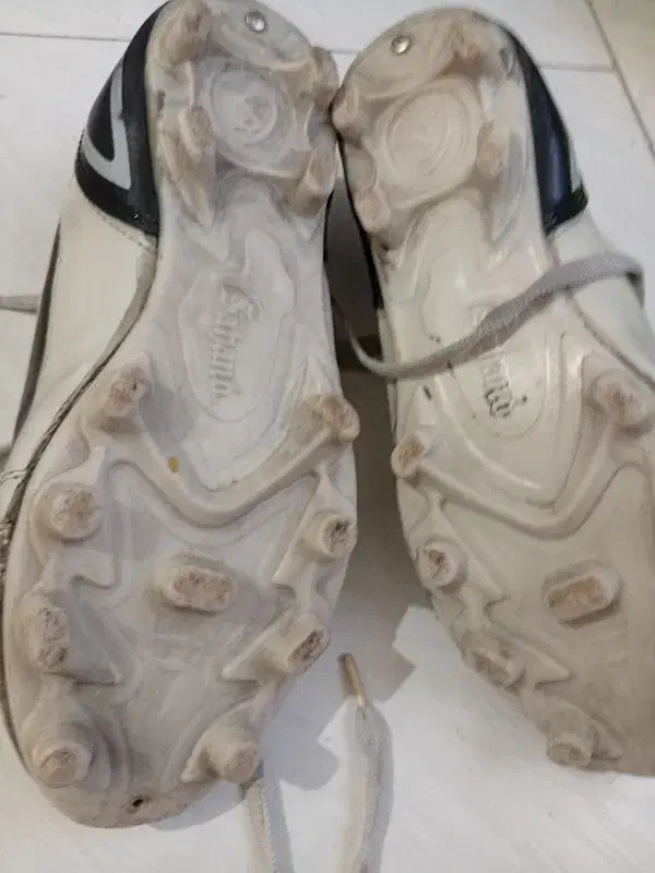 استوک|کیف، کفش، کمربند|رشت, رشتیان|دیوار