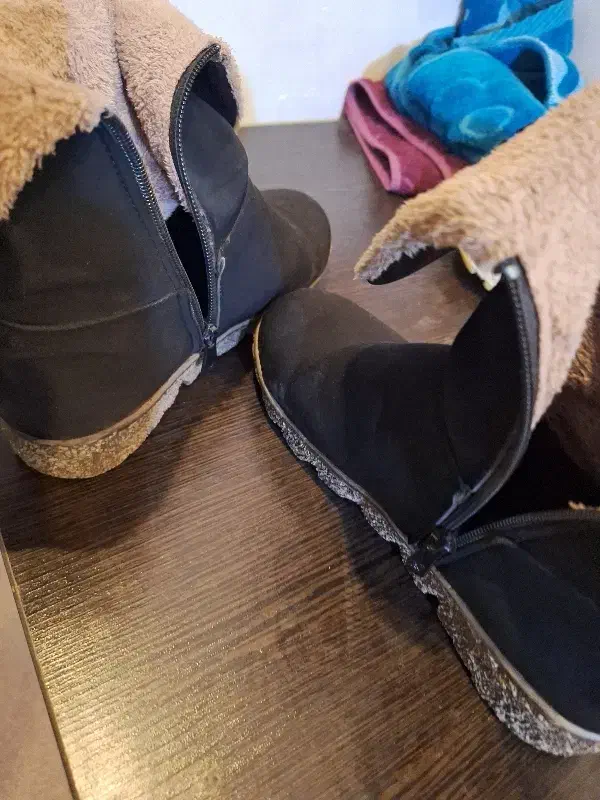 کفش|کیف، کفش، کمربند|نسیم‌شهر, |دیوار