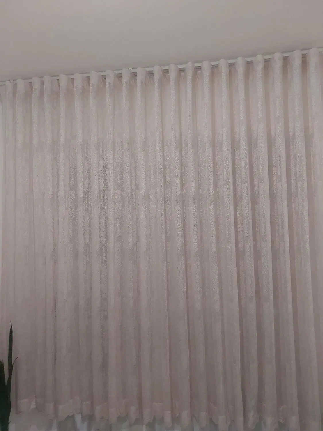 پرده|پرده، رانر، رومیزی|محمدیه-قزوین, |دیوار