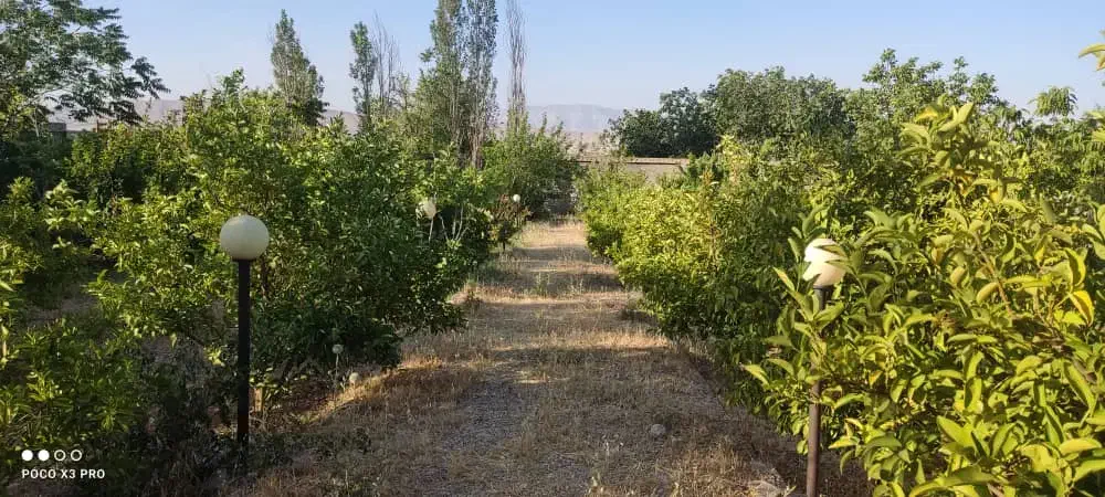 زمین باغی و ملکی وکارگاهی|فروش زمین و ملک کلنگی|شیراز, جمال آباد|دیوار