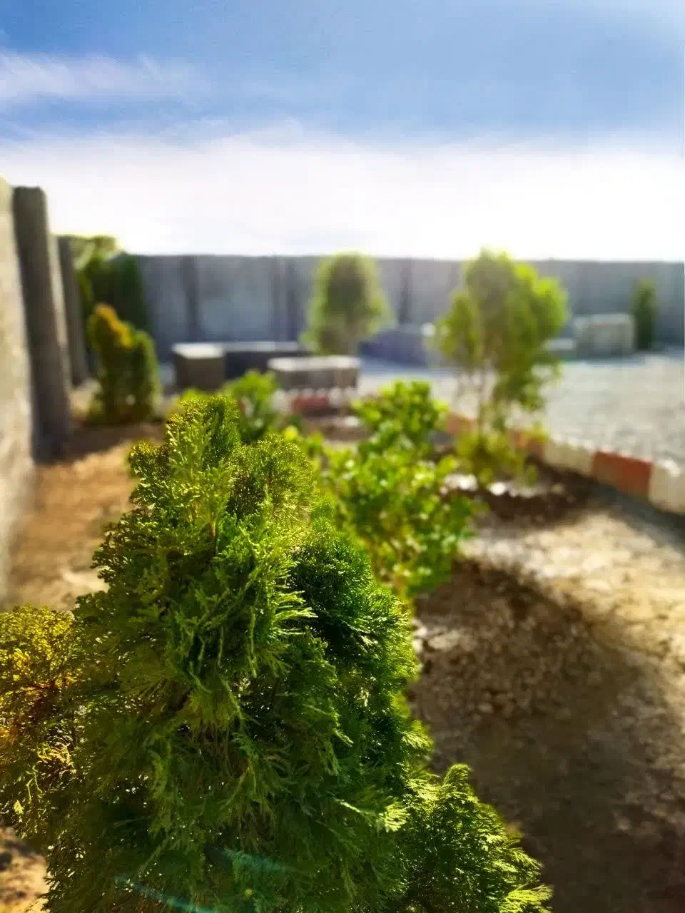 227 متر باغ و باغچه منطقه سرسبز و دنج|فروش زمین و ملک کلنگی|شهریار, اصیل آباد|دیوار