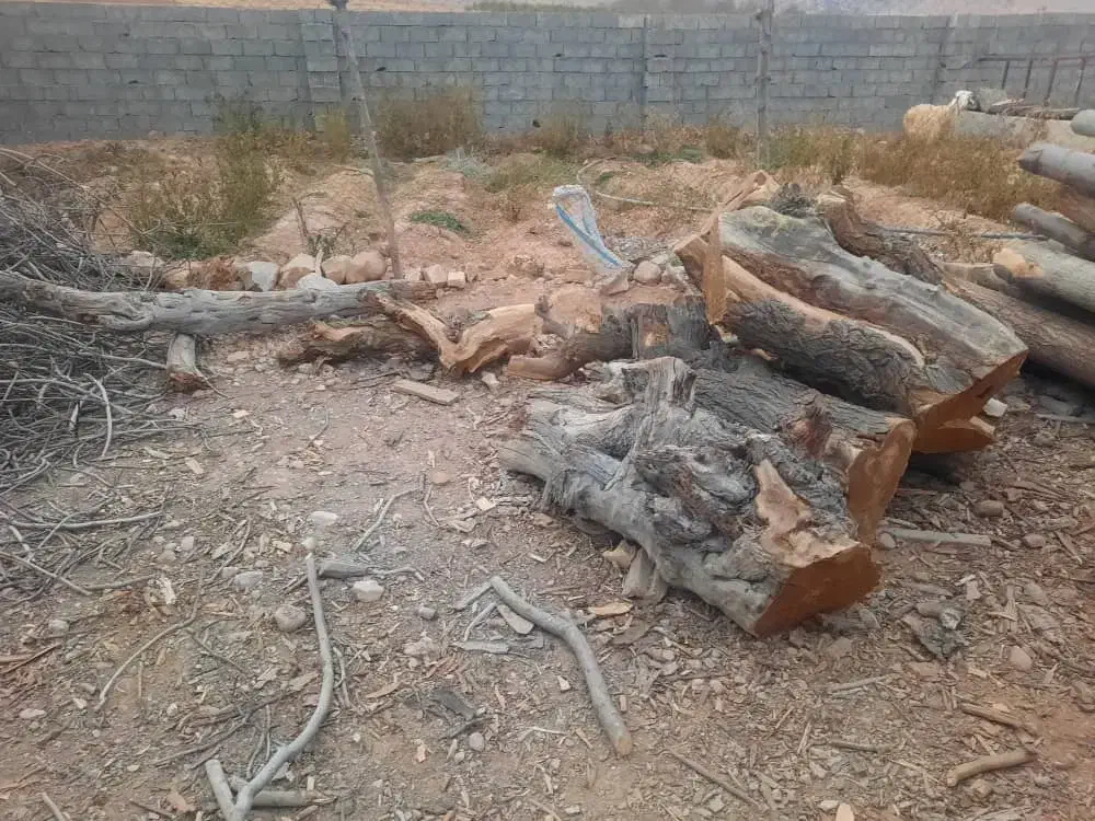 چوب خشک زغالی|خدمات باغبانی و درختکاری|خانمیرزا, |دیوار