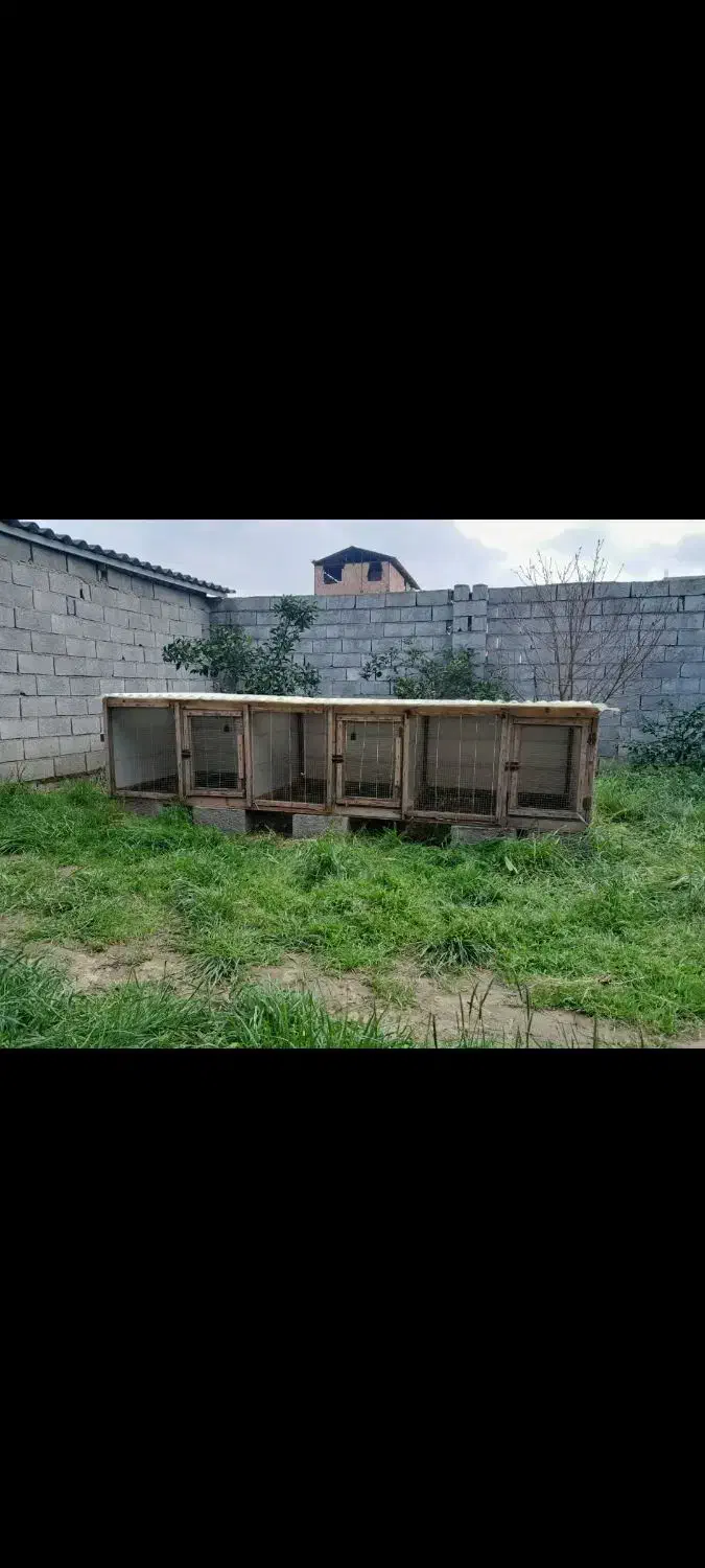 قفس نگهداری جوجه غاز مرغ اردک و بلدرچین و..|لوازم جانبی حیوانات|ایزدشهر, |دیوار