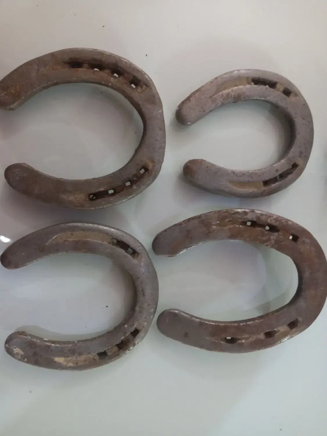 نعل کارکرده تضمینی|اسب و تجهیزات اسبسواری|مشهد, سازمان آب|دیوار