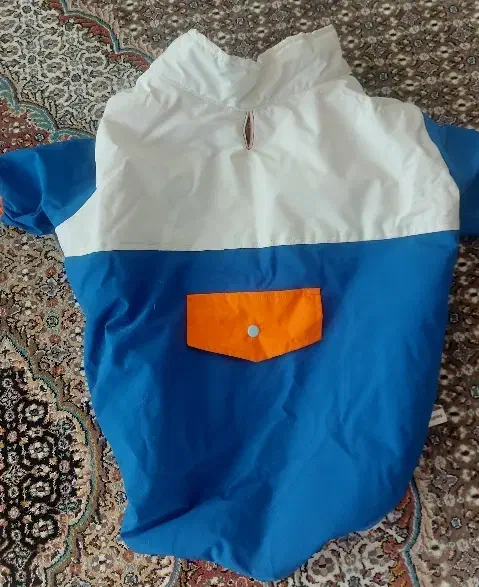 لباس سگ|لوازم جانبی حیوانات|هشتگرد, فاز ۲ مهستان|دیوار