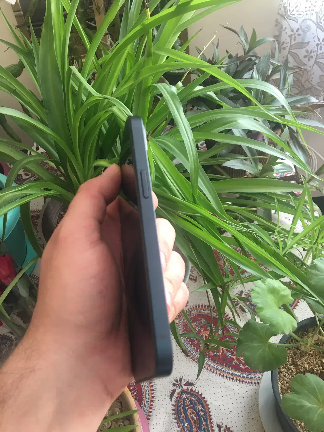 آیفون13نرمال|موبایل|سمنان, |دیوار