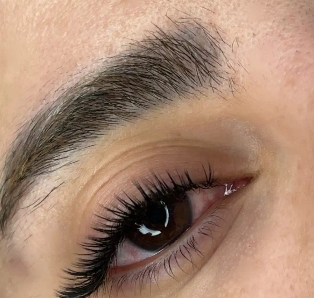 مژه|خدمات آرایشگری و زیبایی|تربت جام, شاد|دیوار