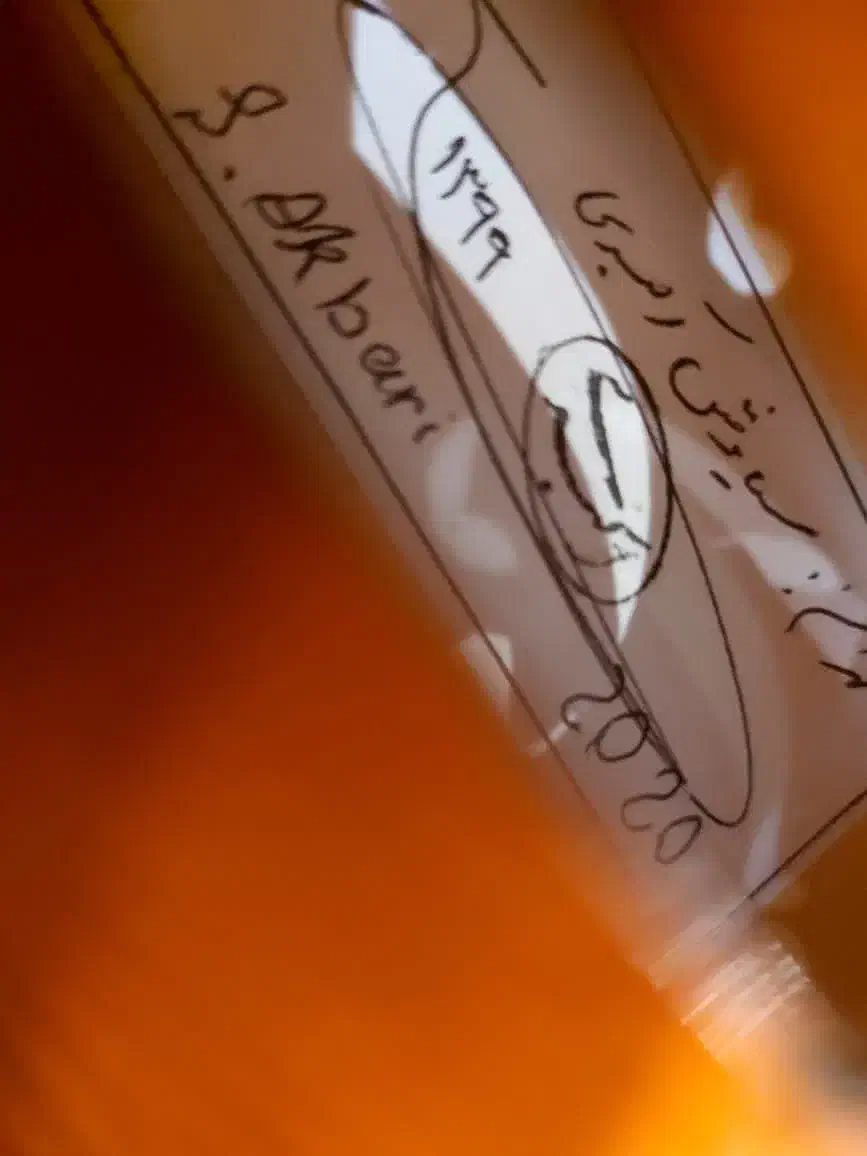 ویولون دست ساز استاد سیاوش اکبری|ویولن|کرج, گوهردشت|دیوار