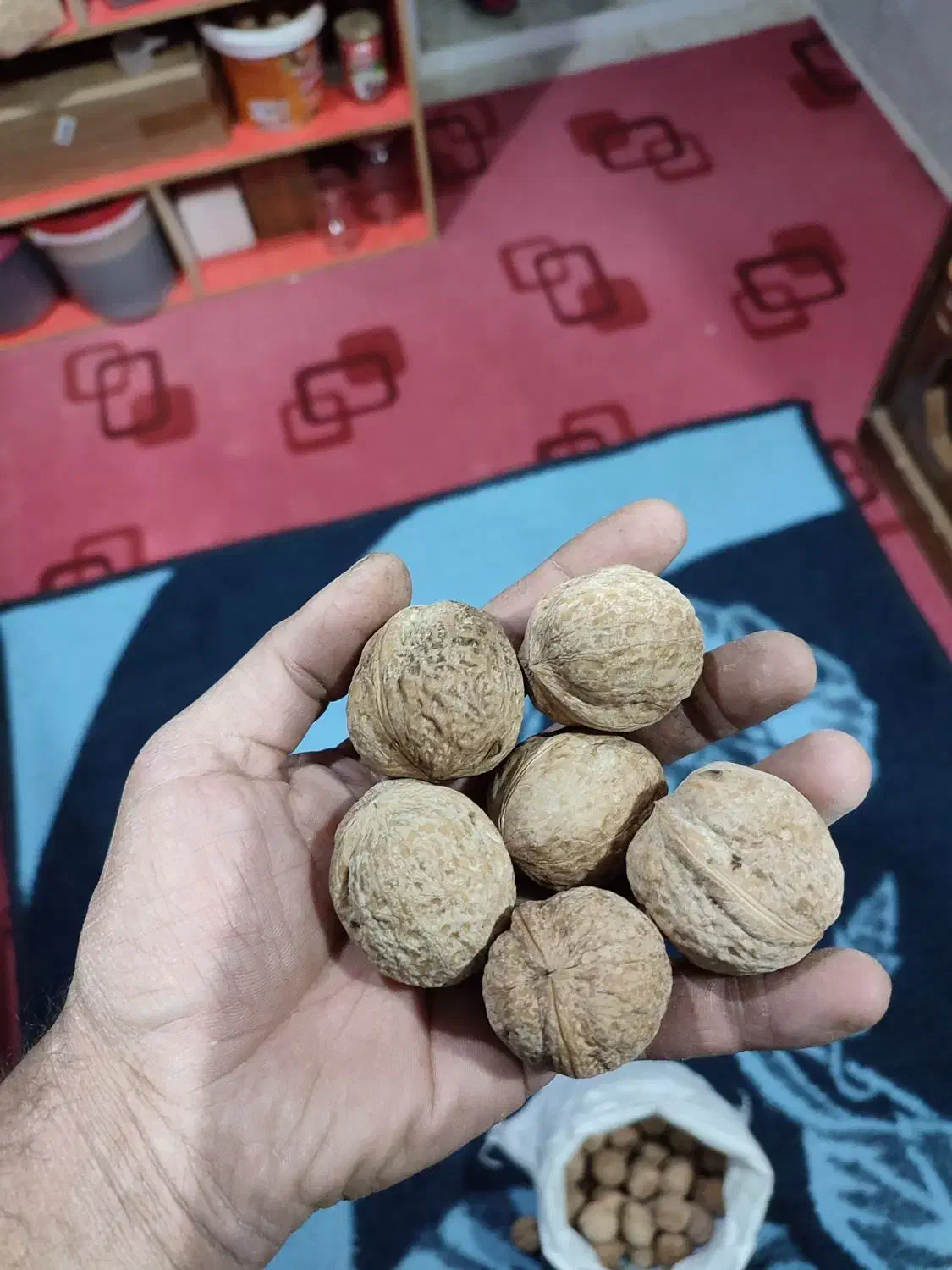 گردو|خوردنی و آشامیدنی|سی‌سخت, |دیوار