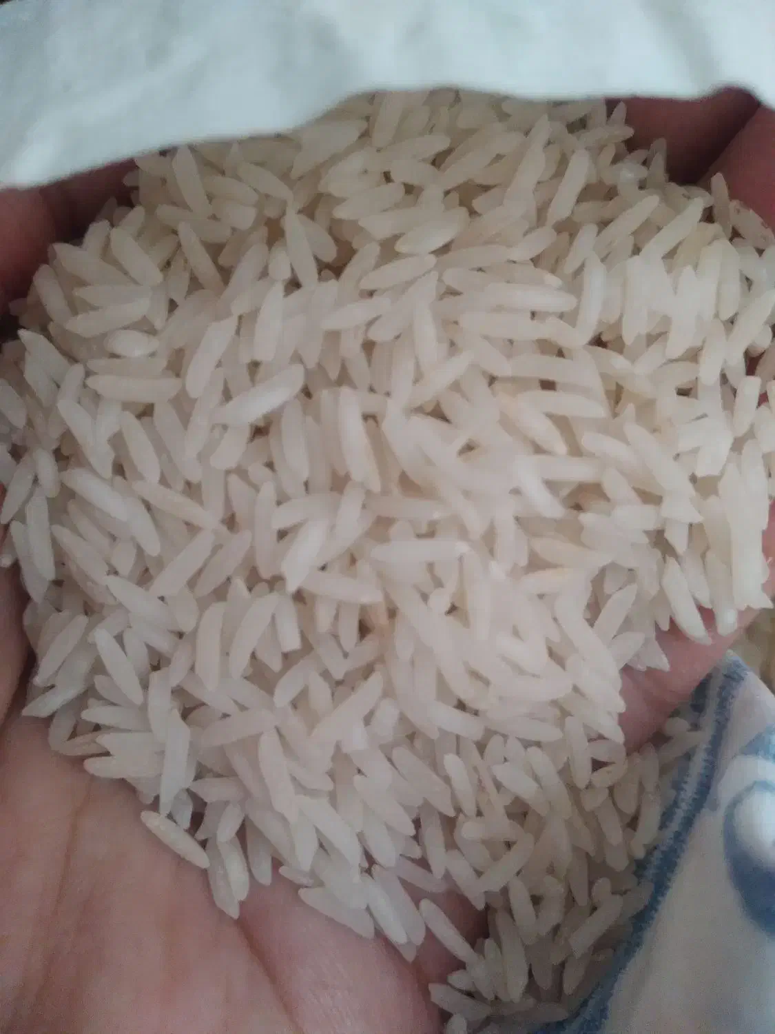 برنج  شیرودی|خوردنی و آشامیدنی|الوند, |دیوار