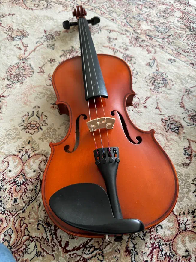 ویولون|ویولن|تبریز, |دیوار