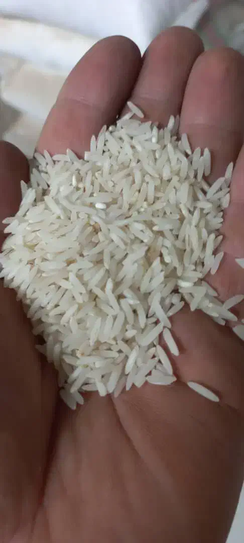 برنج ایرانی درجه یک مستقیم از کارخانه|فعالیت داوطلبانه|بابل, |دیوار