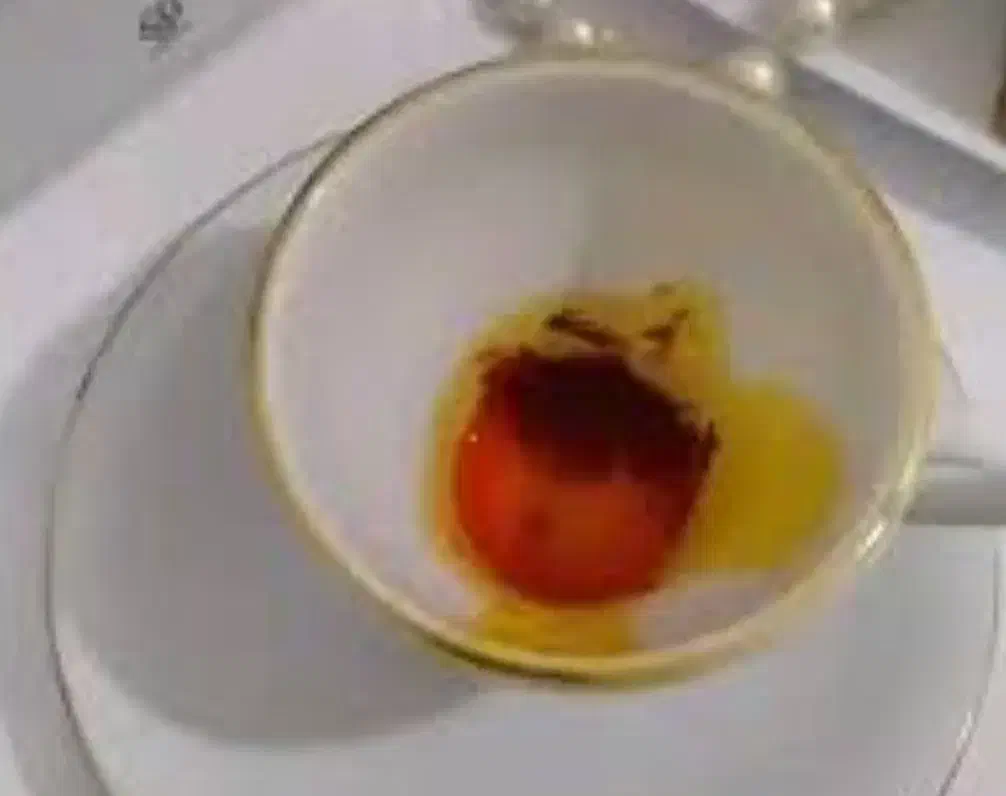 فال تاروت .فال قهوه .فال شمع.فال آینه|خدمات پذیرایی، مراسم|سقز, |دیوار