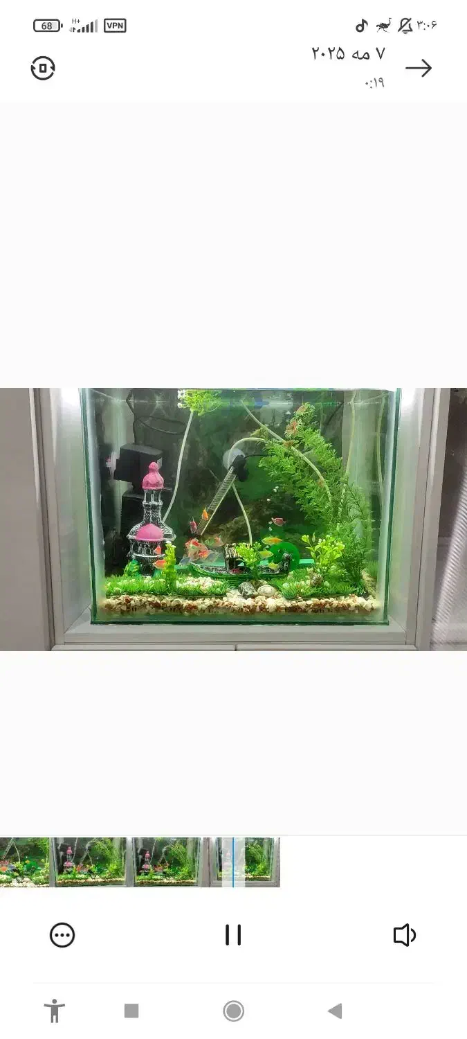 آکواریوم سالم / و دو عدد قفس سالم|ماهی|فومن, |دیوار