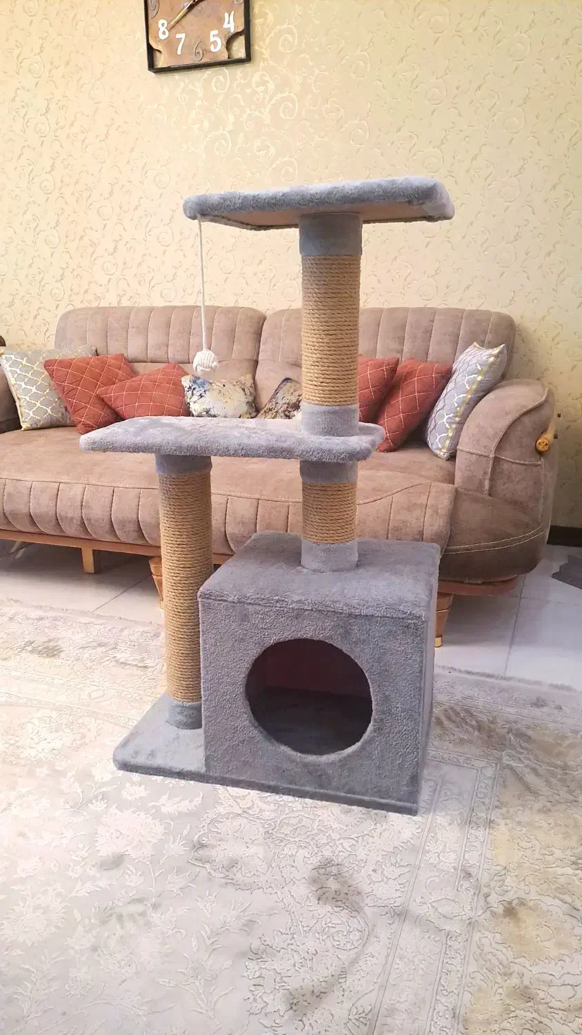 خانه گربه اسکرچر|لوازم جانبی حیوانات|مشهد, نیروی هوایی|دیوار