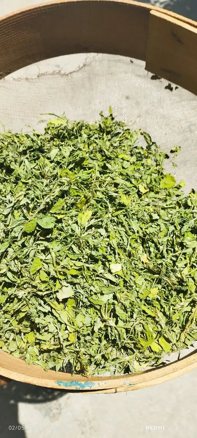 سبزی خشک|خوردنی و آشامیدنی|شیراز, گل سرخ|دیوار