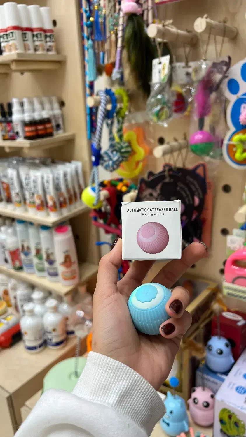 اسباب بازی گربه سرگرمی  برای گربه|اسباب‌‌بازی|مشهد, گلبرگ شمالی|دیوار