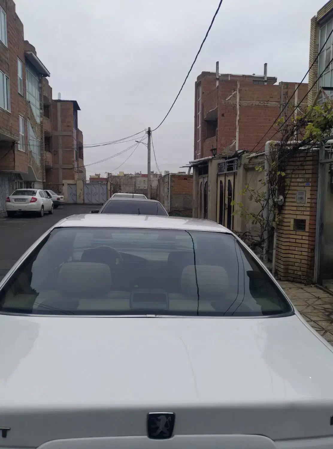 پرشیا نود دوره رنگ نیست ولی من به دو رنگ میفرشم|خودرو سواری و وانت|پارسآباد, |دیوار