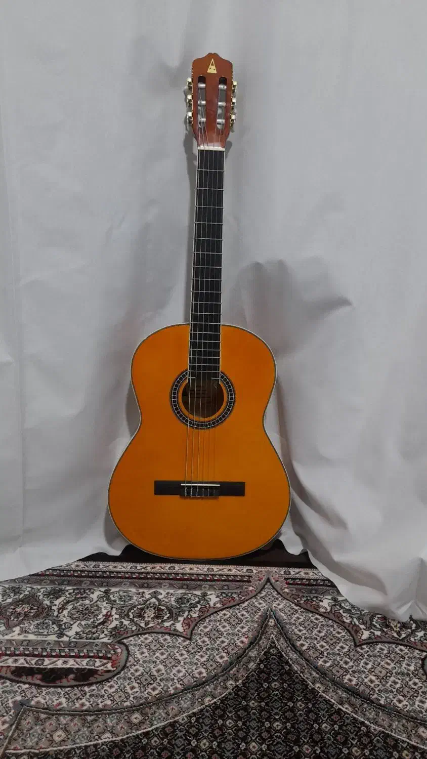 گیتار|گیتار، بیس، امپلیفایر|اردبیل, |دیوار